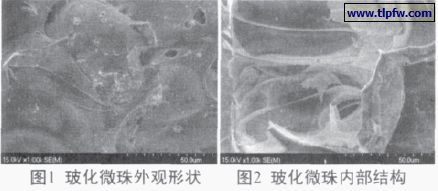 ?；⒅橥庥^形狀及內(nèi)部結(jié)構(gòu)